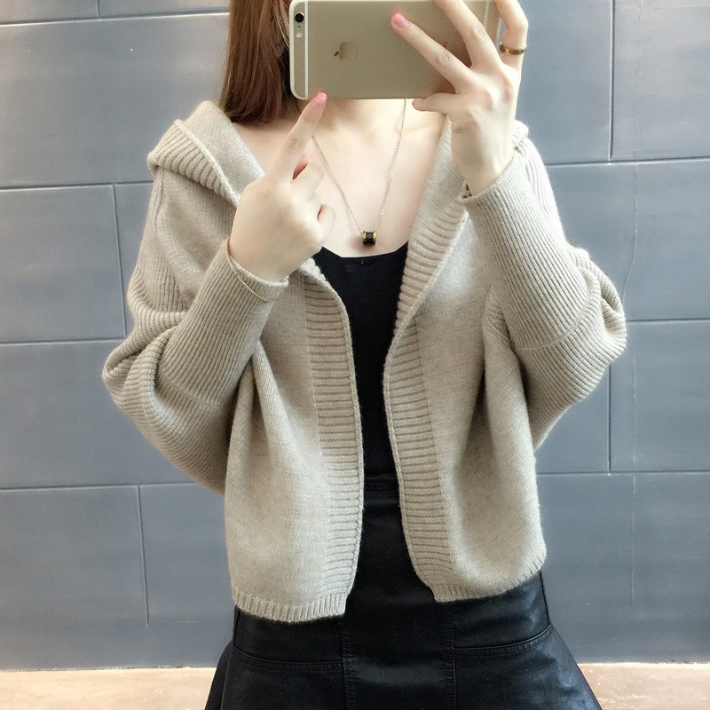 Short jacket sweater spring 2020 new women's long sleeve loose hooded sweater early autumn winter cardigan thick batshirt