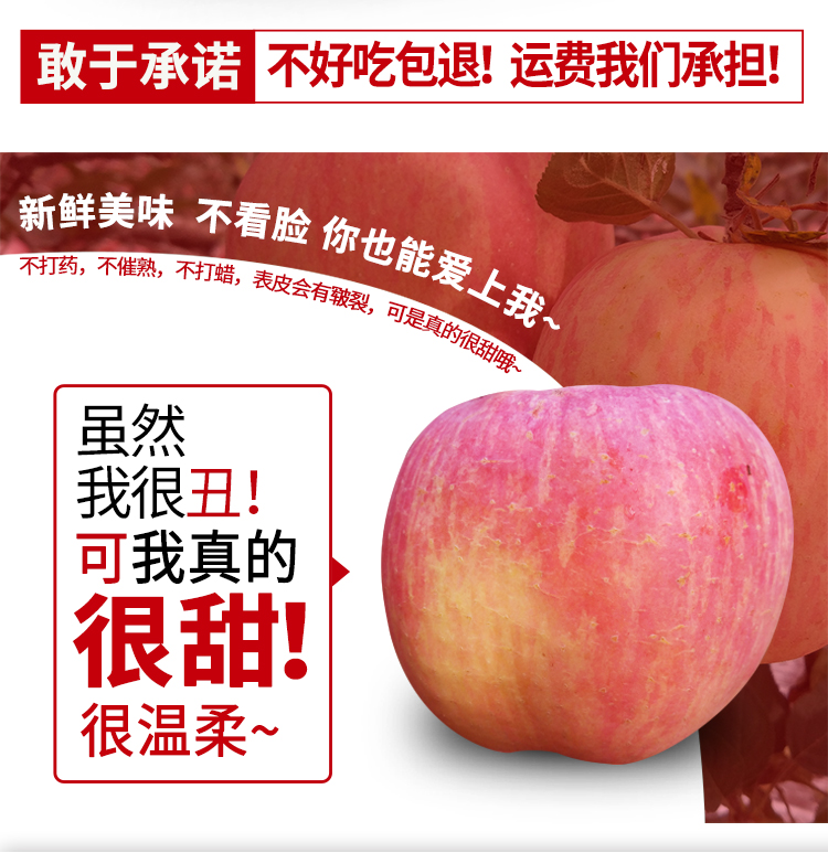 陕西红富士丑苹果新鲜水果脆甜当季整箱10斤装批发