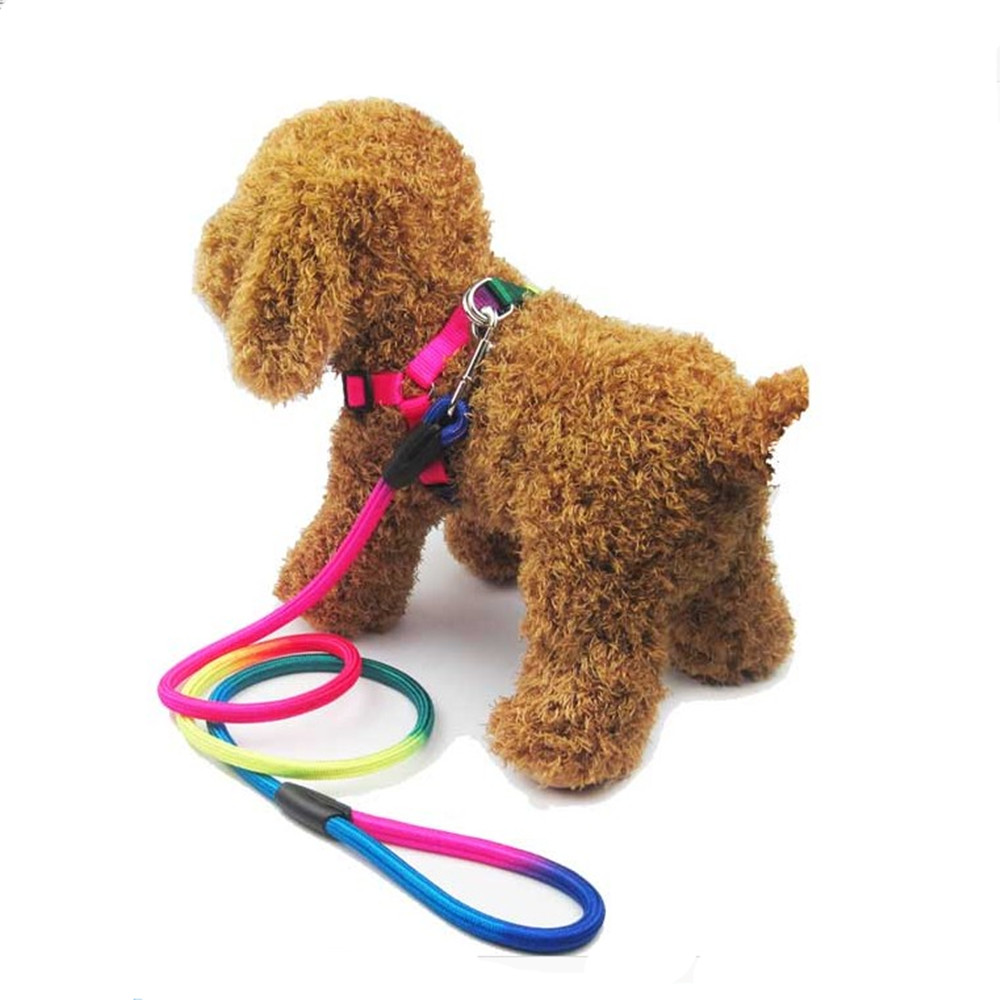 调节牵引中小型宠物用品链子泰迪